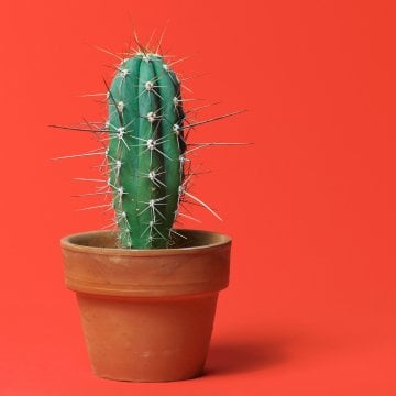 The Art of Taking (and Sending) Naughty Pictures