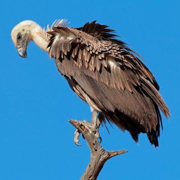 10 Brand New Terms to Add to Your Growing Dating Dictionary