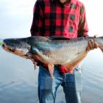 Reverse Catfishing Is the Latest Deceptive Dating Trend — Here’s How to Spot It