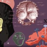 Lonely Men Everywhere Are Joining The Incel Movement – Here’s Your 101 Guide