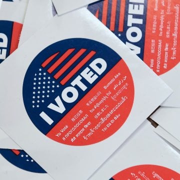 Voting Just Might Be 2020’s Biggest Turn-On